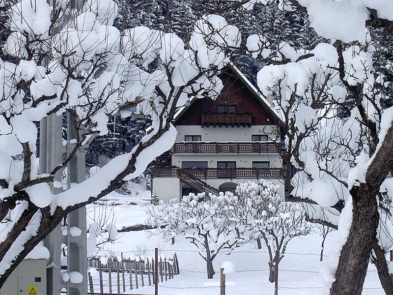 bucovina lodge